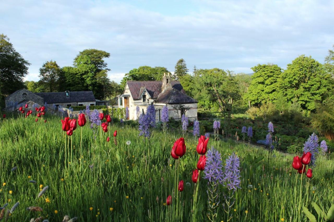 June Blake's Garden Blessington Eksteriør bilde